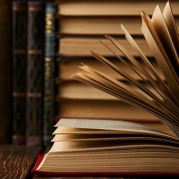 Jessica Cosenza PB Image 2