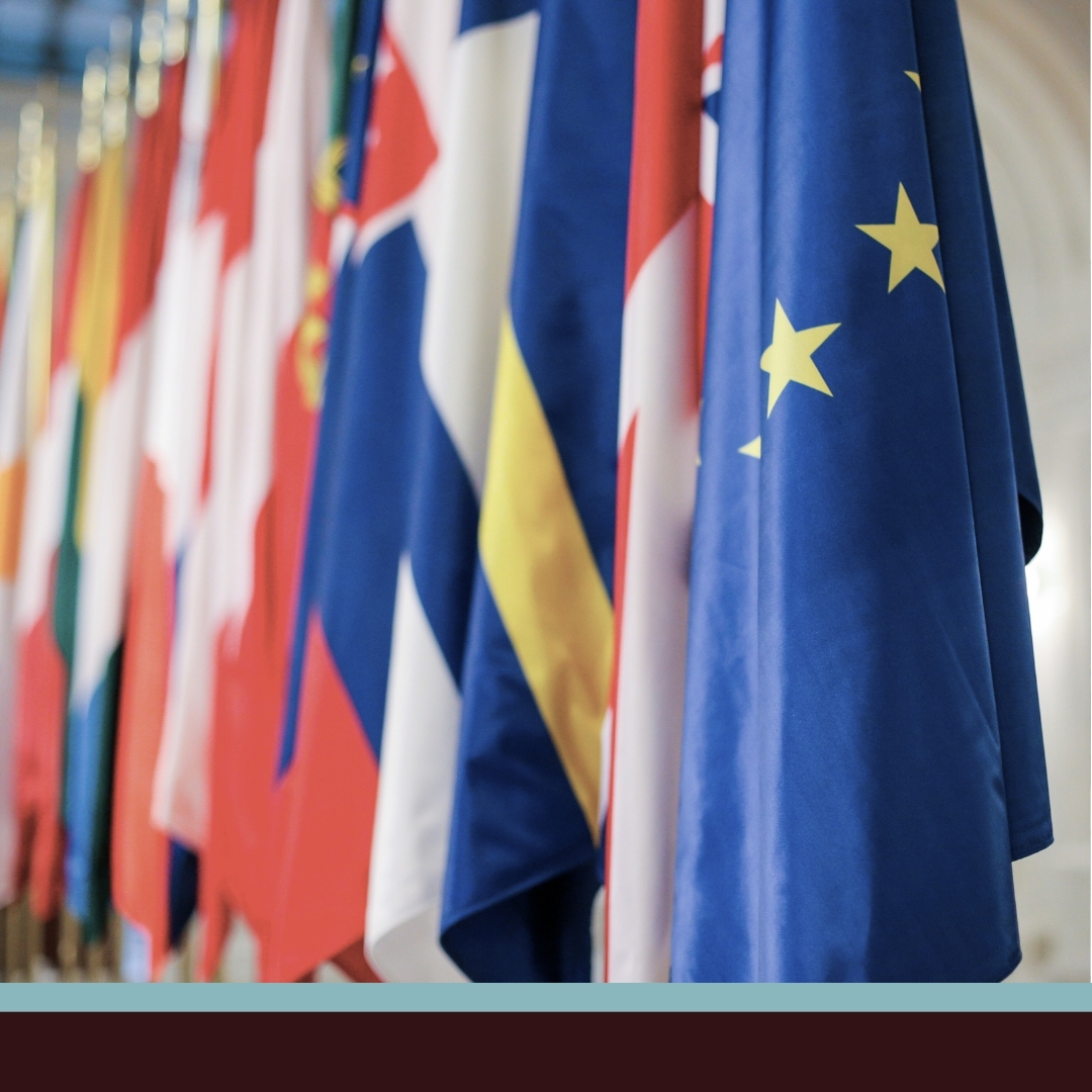 image of member states